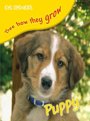cover image of Puppy
